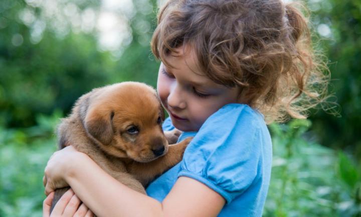 Børn hundehvalpe – Guide om små børn og hunde i