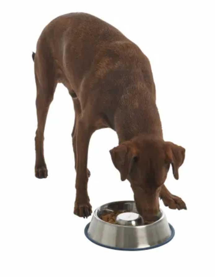 foderskål rund til hunde der skal spise langsomt